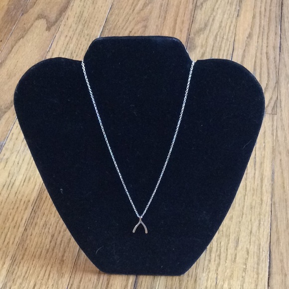 Sterling Wishbone Necklace - Picture 2 of 3